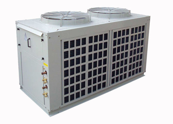 Climatiseur R22 fendu canalisé multi avec le compresseur hermétique de rouleau
